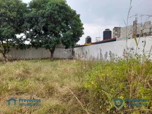 Terreno en venta en Malibran de las Brujas, Veracruz — foto 2 de 9