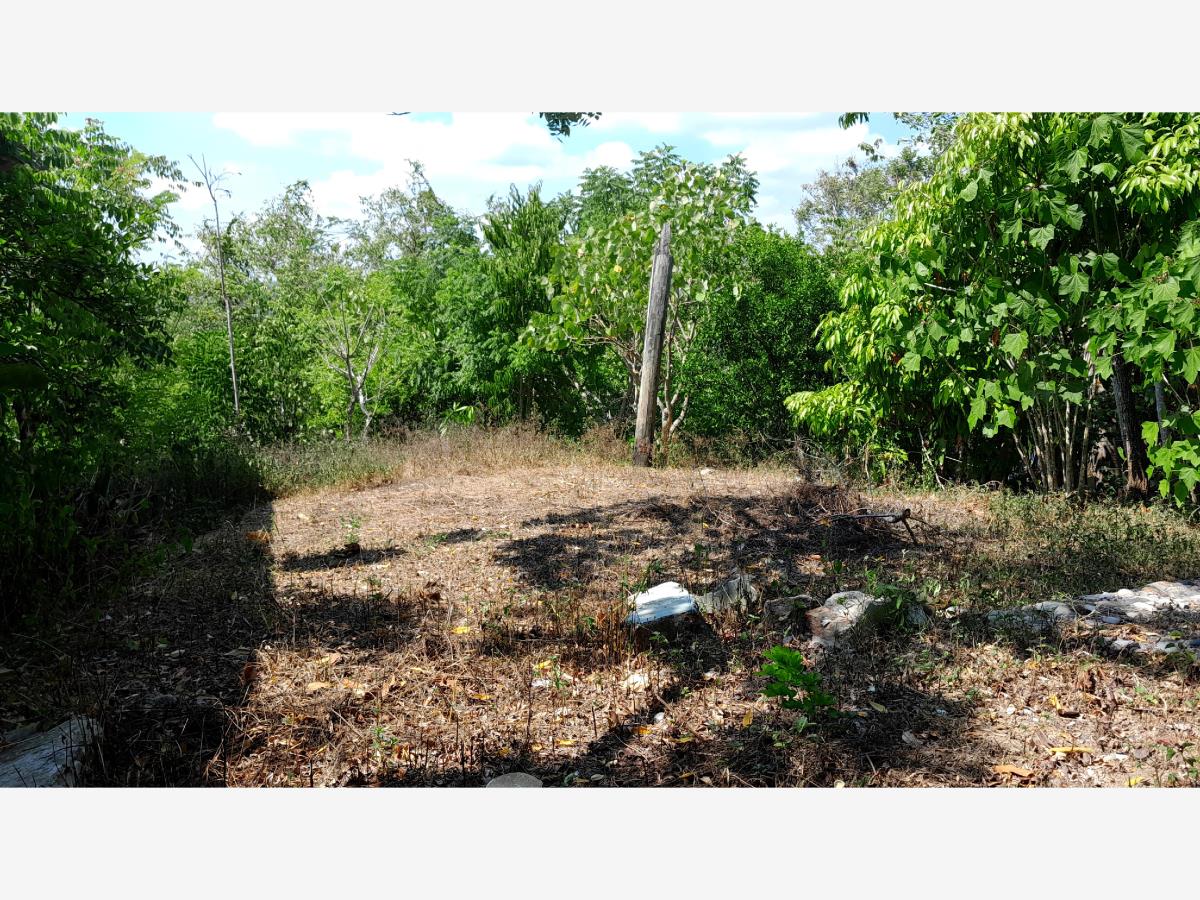 Terreno en venta en Mirador, Poza Rica de Hidalgo — foto 1 de 4