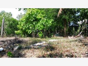 Terreno en venta en Mirador, Poza Rica de Hidalgo — foto 2 de 4