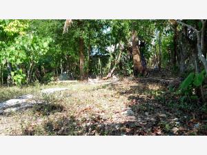 Terreno en venta en Mirador, Poza Rica de Hidalgo — foto 3 de 4