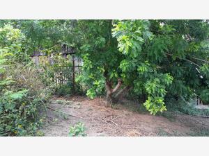 Terreno en venta en Mirador, Poza Rica de Hidalgo — foto 3 de 5