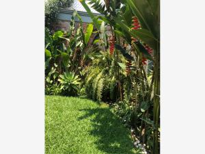 Casa en venta en Las Fincas, Jiutepec — foto 3 de 25