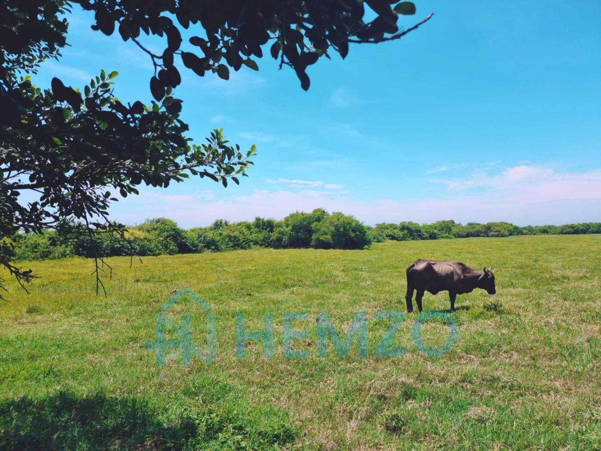 Terreno en venta en Anton Lizardo, Alvarado — foto 1 de 3