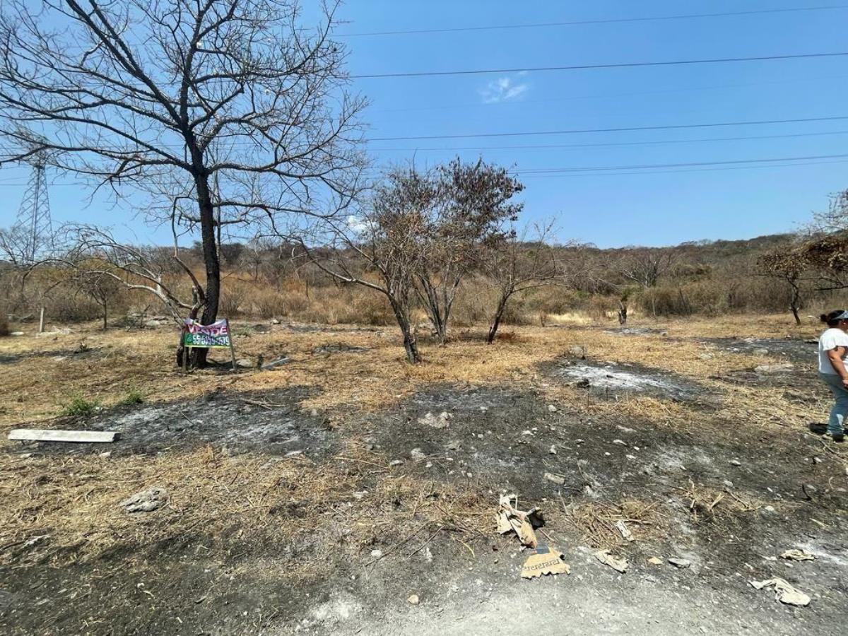 Terreno en venta en San Pedro Apatlaco, Ayala — foto 1 de 10