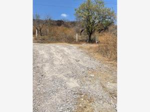 Terreno en venta en San Pedro Apatlaco, Ayala — foto 2 de 10