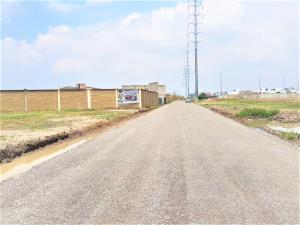 Terreno en venta en San Bernardino Tlaxcalancingo, San Andrés Cholula — foto 3 de 7