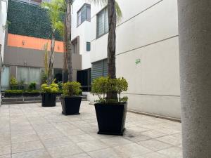 Casa en venta en Del Valle Centro, Benito Juárez — foto 3 de 19