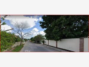 Casa en venta en San Pedro Cholul, Mérida — foto 3 de 20