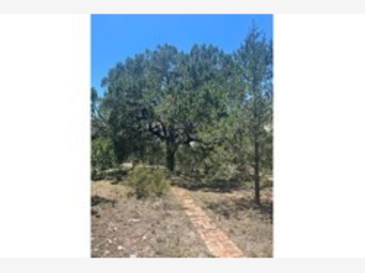Terreno en venta en Arteaga Centro, Arteaga — foto 1 de 2
