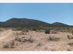 Terreno en venta en San Antonio de las Alazanas, Arteaga — foto 2 de 4