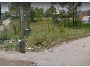 Terreno en renta en Paraiso Centro, Paraíso — foto 3 de 4