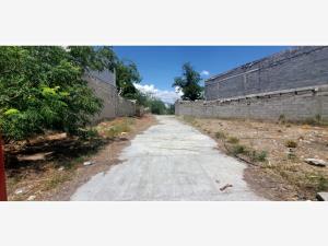Terreno en venta en Parras de la Fuente Centro, Parras — foto 2 de 13