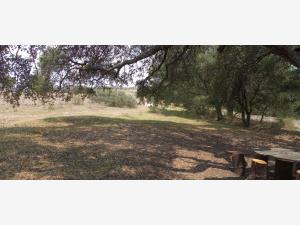 Terreno en venta en La Concepción, Aculco — foto 2 de 22