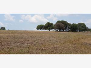 Terreno en venta en La Concepción, Aculco — foto 3 de 22