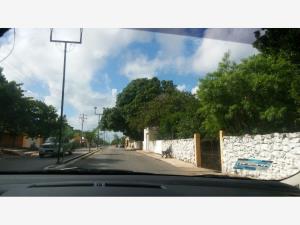 Terreno en venta en Izamal Centro, Izamal — foto 3 de 7