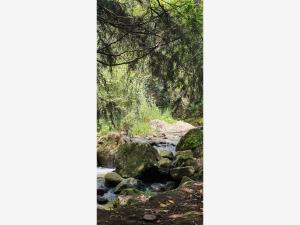 Terreno en venta en Santa Cruz Huitzizilapan, Lerma — foto 3 de 5