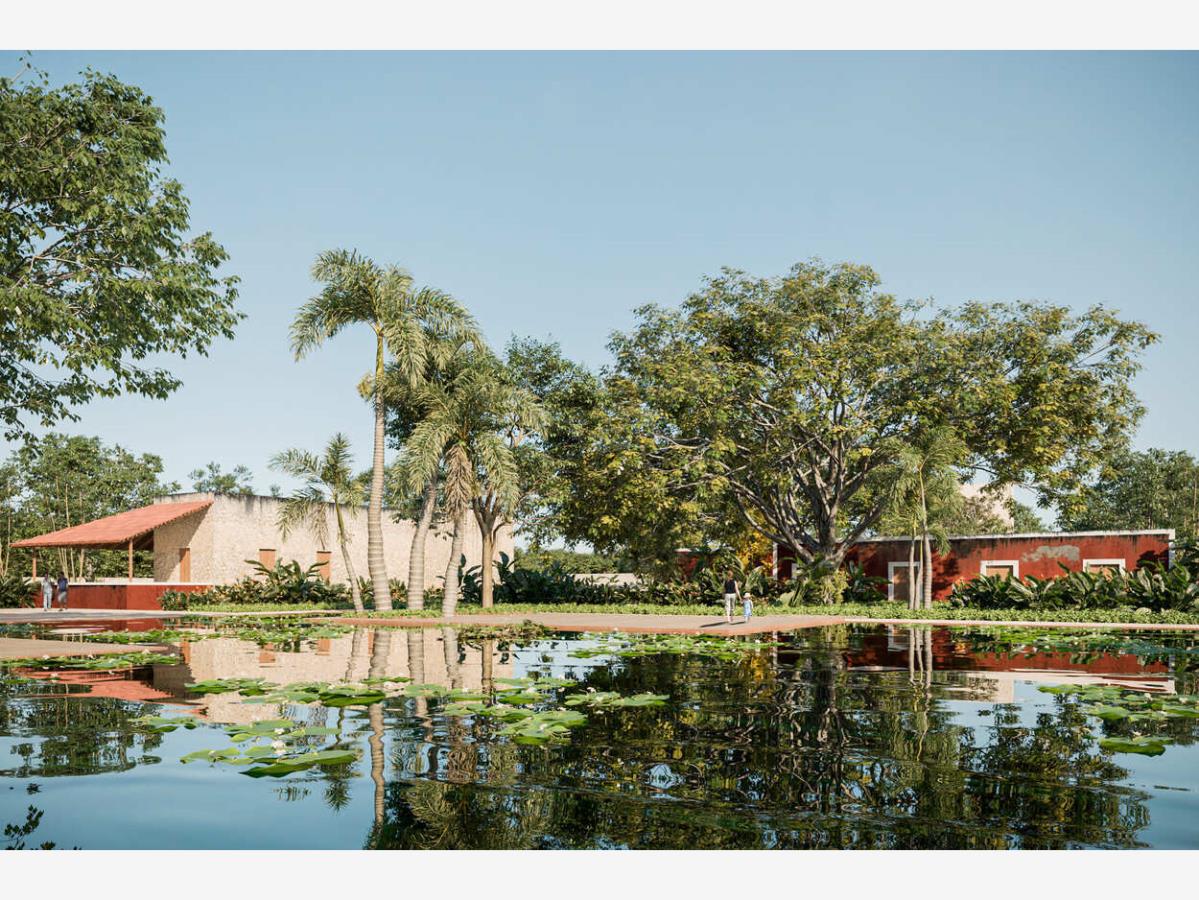 Terreno en venta en Centro Telchac Pueblo, Telchac Pueblo — foto 1 de 25