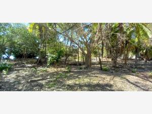 Terreno en venta en Chacahua, Villa de Tututepec — foto 3 de 5