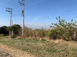 Terreno en venta en San Jose del Castillo, El Salto — foto 2 de 7