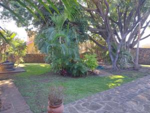 Casa en renta en Burgos, Temixco — foto 3 de 54