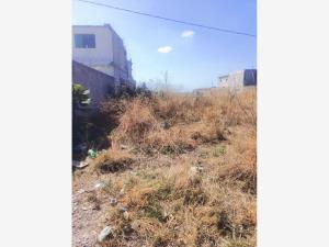 Terreno en venta en Yecapixtla, Yecapixtla — foto 3 de 5
