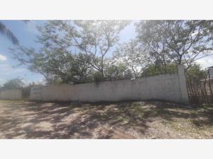 Terreno en venta en Gabriel Tepepa, Cuautla — foto 3 de 8