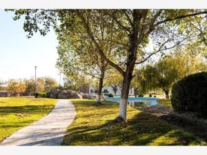 Terreno en venta en Las Trojes, Torreón — foto 3 de 4