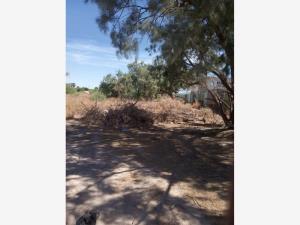 Terreno en renta en Ciudad Industrial, Torreón — foto 3 de 6