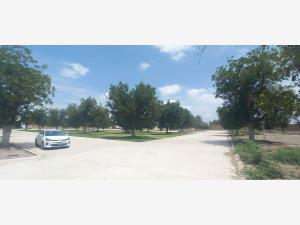 Terreno en venta en La Barranca, Torreón — foto 3 de 4