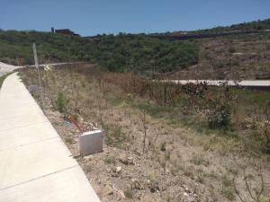 Terreno en venta en Zanda, León — foto 3 de 10