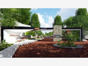 Terreno en venta en Huasca de Ocampo Centro, Huasca de Ocampo — foto 2 de 10