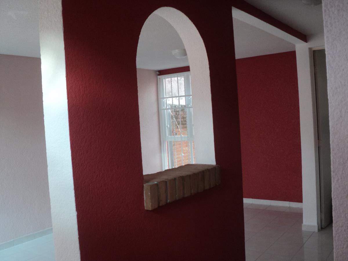 Imagen 5