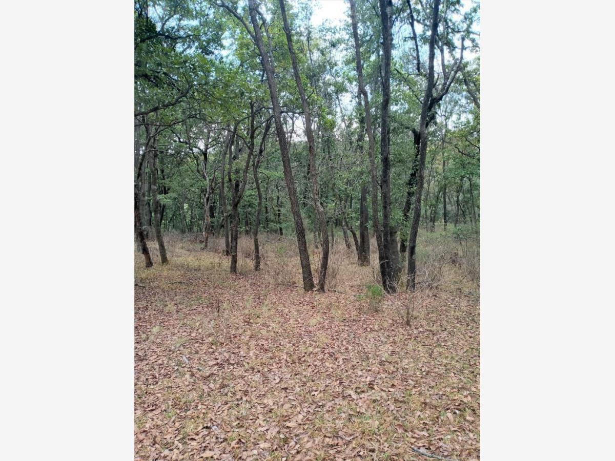 Terreno en venta en Bocanegra, Villa del Carbón — foto 1 de 7