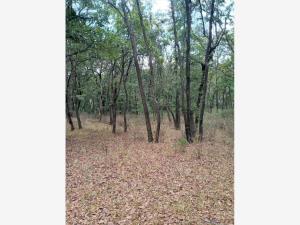 Terreno en venta en Bocanegra, Villa del Carbón, México