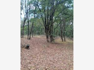Terreno en venta en Bocanegra, Villa del Carbón — foto 2 de 7