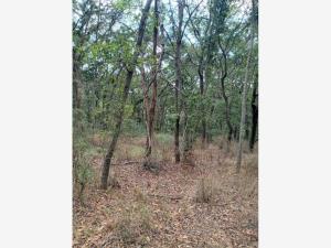 Terreno en venta en Bocanegra, Villa del Carbón — foto 3 de 7