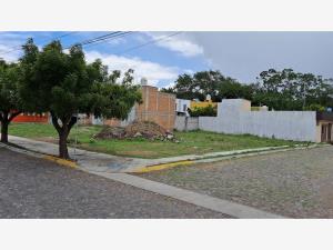 Terreno en venta en Santa Rita, Coquimatlán — foto 2 de 3