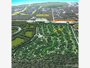 Terreno en venta en Ciudad Mayakoba, Solidaridad — foto 2 de 20