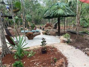Terreno en venta en Quintana Roo, Quintana Roo — foto 3 de 13