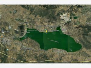 Terreno en venta en Cajititlan, Tlajomulco de Zúñiga — foto 3 de 7