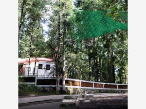 Terreno en venta en Mineral del Monte Centro, Mineral del Monte — foto 3 de 12