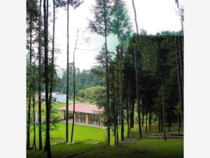 Terreno en venta en Mineral del Monte Centro, Mineral del Monte — foto 3 de 13