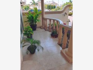 Casa en renta en Residencial la Joya, Boca del Río — foto 2 de 9