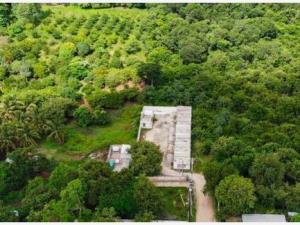 Terreno en venta en Ignacio Magdaleno, Escárcega — foto 2 de 11