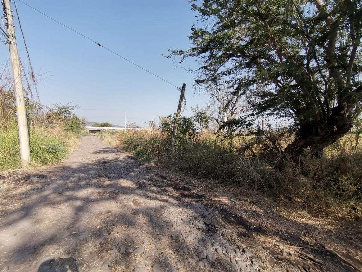 Terreno en venta en San Miguel La Unión, Xochitepec — foto 1 de 6