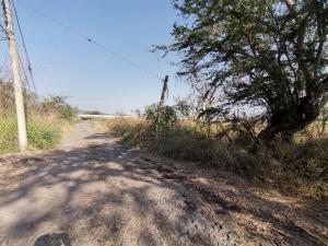 Terreno en venta en San Miguel La Unión, Xochitepec, Morelos Terreno en venta en San Miguel La Unión, Xochitepec, Morelos