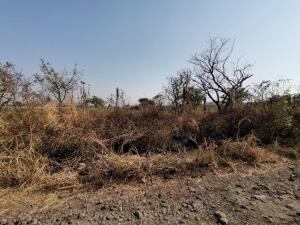 Terreno en venta en San Miguel La Unión, Xochitepec — foto 2 de 6
