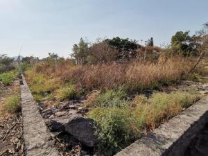 Terreno en venta en San Miguel La Unión, Xochitepec — foto 3 de 6