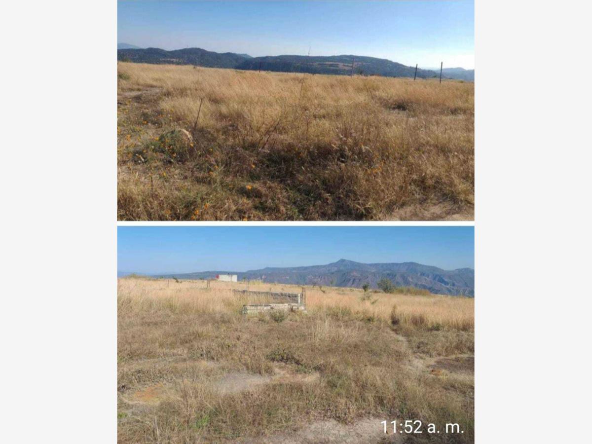 Terreno en venta en Milpillas, Atotonilco El Alto — foto 1 de 5