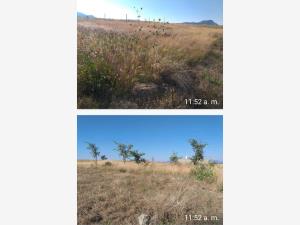 Terreno en venta en Milpillas, Atotonilco El Alto — foto 2 de 5